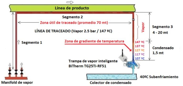 Línea de traceado con vapor en instalación industrial - imagen 3